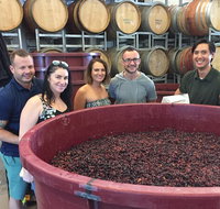 Hunter Valley Small Group Wine Gin Cheese  Chocolate Tour - Accommodation Coffs Harbour