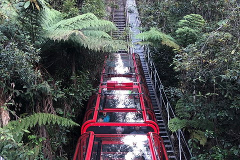 Blue Mountains Tour (ScenicWorld) - Accommodation Coffs Harbour 5