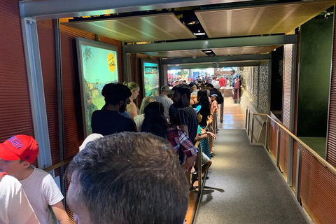 Blue Mountains Tour (ScenicWorld) - Accommodation Coffs Harbour 4