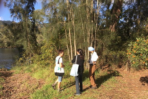 Fishermans Paradise Eco-walk - Accommodation Coffs Harbour 1