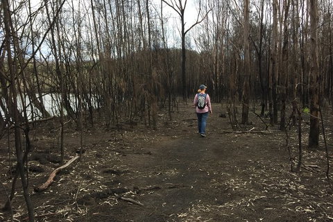 Fishermans Paradise Eco-walk - Accommodation Coffs Harbour 5