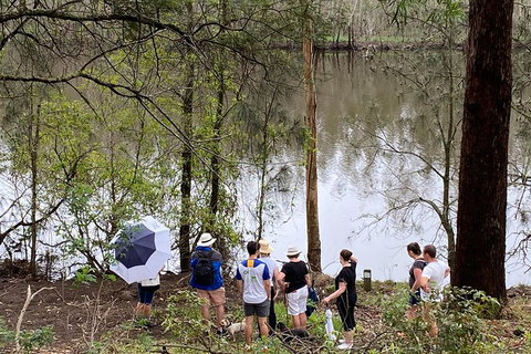 Fishermans Paradise Eco-walk - Accommodation Coffs Harbour 2