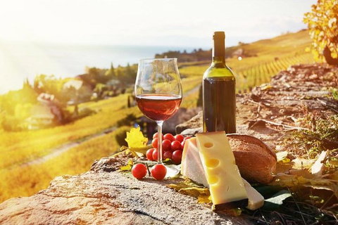 Six Hour - Plan Your Own Wine And Cheese Tour Hunter Valley - Accommodation Coffs Harbour 0