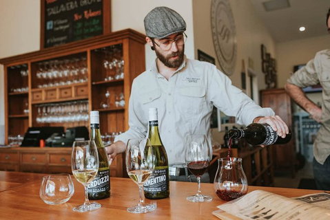 Six Hour - Plan Your Own Wine And Cheese Tour Hunter Valley - Accommodation Coffs Harbour 10