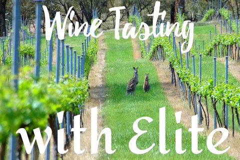 Six Hour - Plan Your Own Wine And Cheese Tour Hunter Valley - Accommodation Coffs Harbour 7
