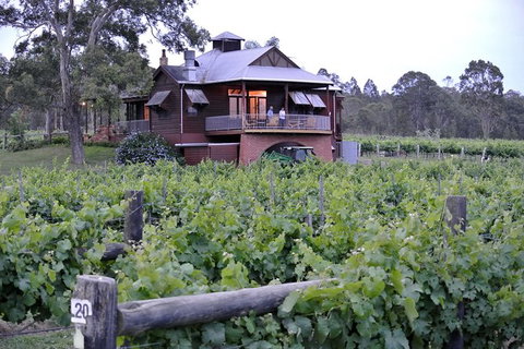 Six Hour - Plan Your Own Wine And Cheese Tour Hunter Valley - Accommodation Coffs Harbour 11
