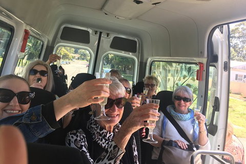 Six Hour - Plan Your Own Wine And Cheese Tour Hunter Valley - Accommodation Coffs Harbour 1