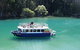 Byron Bay Rainforest Eco-Cruise - thumb 0