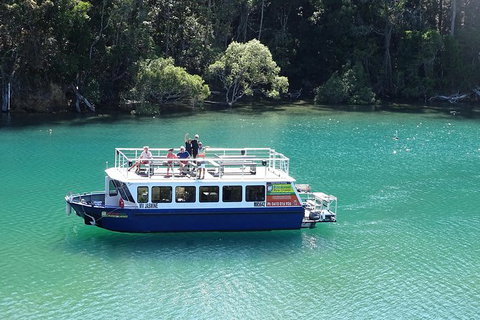 Byron Bay Rainforest Eco-Cruise - Accommodation Coffs Harbour 0