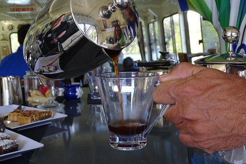 Byron Bay Rainforest Eco-Cruise - Accommodation Coffs Harbour 4