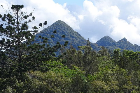 Byron Bay Rainforest Eco-Cruise - Accommodation Coffs Harbour 3