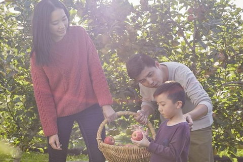 Blue Mountains Botanic Garden And Bilpin Tour From Katoomba With Cider Tasting - Accommodation Coffs Harbour 1