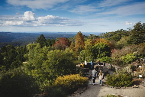Blue Mountains Botanic Garden And Bilpin Tour From Katoomba With Cider Tasting - Accommodation Coffs Harbour 5