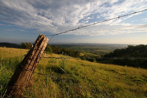 Private Full-Day Wine Tour In Hunter Valley - Accommodation Coffs Harbour 3