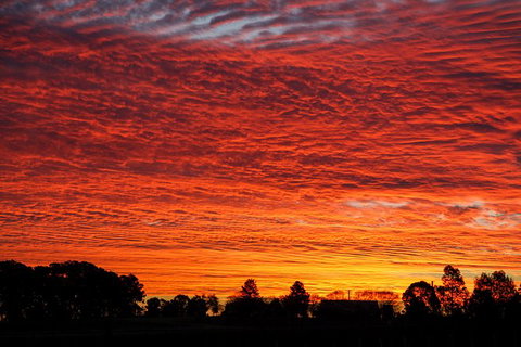 Private Full-Day Wine Tour In Hunter Valley - Accommodation Coffs Harbour 0