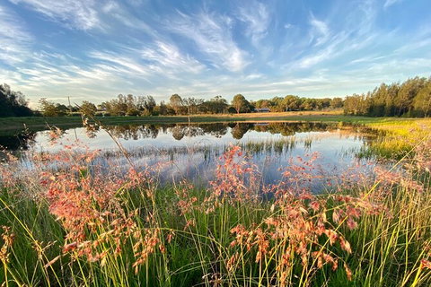 Private Full-Day Wine Tour In Hunter Valley - Accommodation Coffs Harbour 5