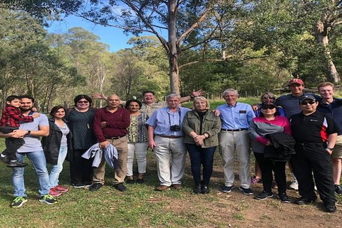 Full-Day Guided Tour Of Blue Mountains With Pick Up - Accommodation Coffs Harbour 5