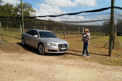 The Secret Vines Experience Port Macquarie - Accommodation Coffs Harbour 0