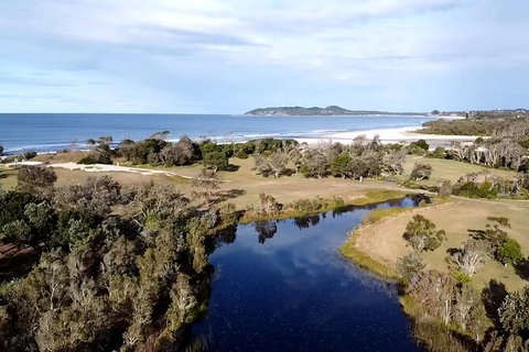 Coffee Farm Tour And Workshop, Byron Bay Hinterland - Accommodation Coffs Harbour 3