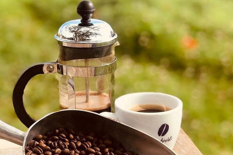 Coffee Farm Tour And Workshop, Byron Bay Hinterland - Accommodation Coffs Harbour 0