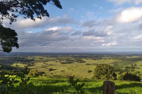 Coffee Farm Tour And Workshop, Byron Bay Hinterland - Accommodation Coffs Harbour 4