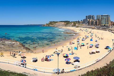 Newcastle Scenic Explorer - 2 Hour Tour By Minibus - Accommodation Coffs Harbour 16