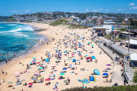 Newcastle Scenic Explorer - 2 Hour Tour By Minibus - Accommodation Coffs Harbour 6