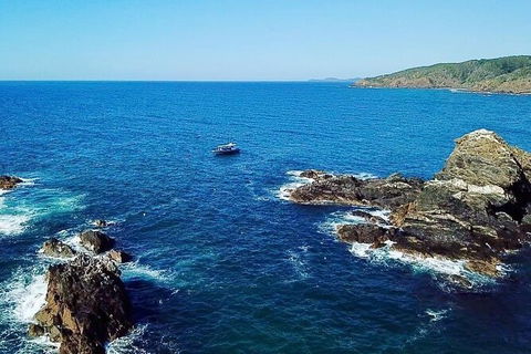 Julian Rocks Byron Bay Cruise - Accommodation Coffs Harbour 15