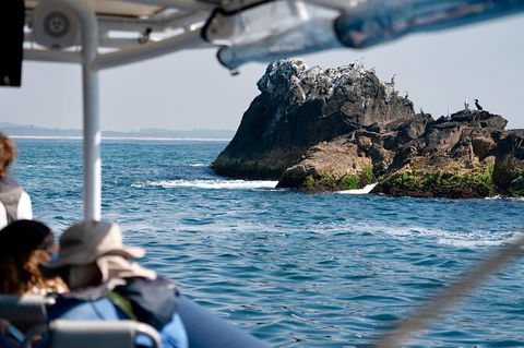 Julian Rocks Byron Bay Cruise - Accommodation Coffs Harbour 20