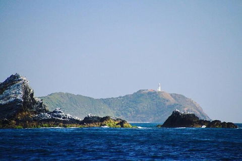 Julian Rocks Byron Bay Cruise - Accommodation Coffs Harbour 2