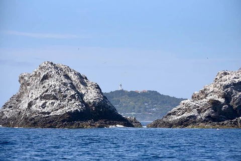 Julian Rocks Byron Bay Cruise - Accommodation Coffs Harbour 14