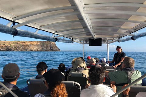 Julian Rocks Byron Bay Cruise - Accommodation Coffs Harbour 5