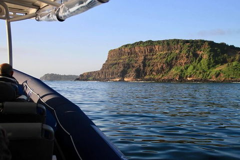 Julian Rocks Byron Bay Cruise - Accommodation Coffs Harbour 17