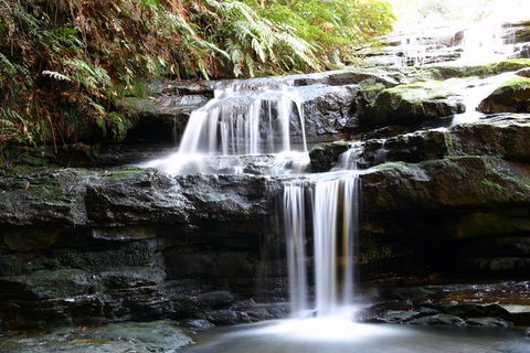 Private 10-hour Tour To Blue Mountains From Sydney - Hotel Pick Up & Drop Off - Accommodation Coffs Harbour 6