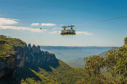Blue Mountains Highlights, Wildlife Park And Scenic World Full Day Private Tour - Accommodation Coffs Harbour 0