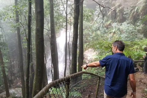 Blue Mountains Highlights, Wildlife Park And Scenic World Full Day Private Tour - Accommodation Coffs Harbour 6