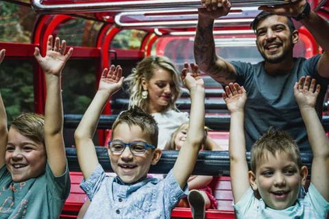Blue Mountains Highlights, Wildlife Park And Scenic World Full Day Private Tour - Accommodation Coffs Harbour 5