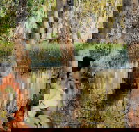 ETHICAL ADVENTURES - Dry Season Litchfield Region Max 10 guests - Accommodation Coffs Harbour