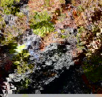 Ethical Adventures - Pure Litchfield - Accommodation Coffs Harbour