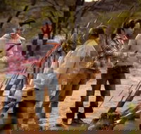 Karrke Aboriginal Cultural Experience - Accommodation Coffs Harbour