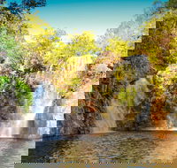 Litchfield National Park Waterfalls Day Trip From Darwin Including Termite Mounds and Lunch - Accommodation Coffs Harbour