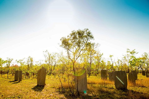 Litchfield National Park Waterfalls Day Trip From Darwin Including Termite Mounds And Lunch - Accommodation Coffs Harbour 1
