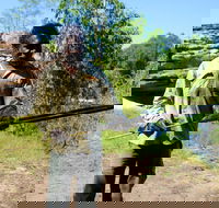 Kakadu  Arnhem Land tour Camping tour - Accommodation Coffs Harbour