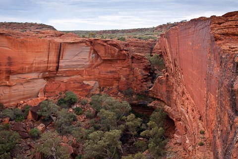Uluru, Kata Tjuta And Kings Canyon Camping Safari From Alice Springs - Accommodation Coffs Harbour 4