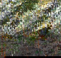 World War II Beyond Darwin - Accommodation Coffs Harbour