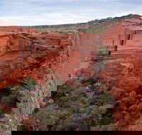 Uluru Kata Tjuta and Kings Canyon Camping Safari from Ayers Rock