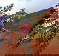 From Yulara Discover Uluru Half Day Bike Tour