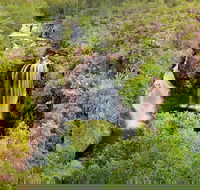 Full-Day Private Guided Tour to Litchfield National Park - Accommodation Coffs Harbour