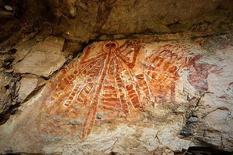 Arnhem Land Injalak Hill Full-Day Tour From Darwin - Accommodation Coffs Harbour 1