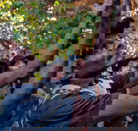 Arnhem Land Injalak Hill Full-Day Tour from Darwin - Accommodation Coffs Harbour